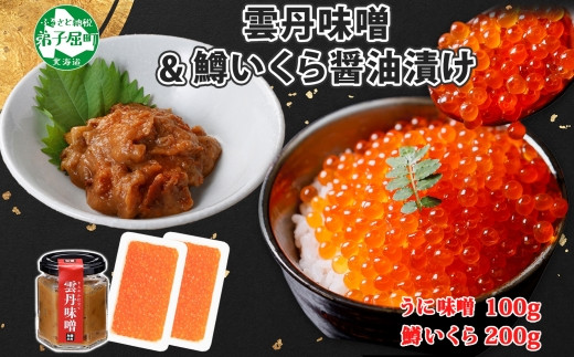 
                  3721. 雲丹味噌瓶 100g 鱒いくら醤油漬け 100g×2個 小分け ウニみそ うにみそ 雲丹 ウニ うに 味噌 みそ 瓶詰 ますいくら イクラ 海鮮 送料無料 北海道 弟子屈町
                