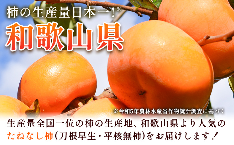 ＜10月より発送＞たねなし柿 約7.5kg 刀根早生 平核無柿 ひらたねなしかき 池田鹿蔵農園《10月上旬-12月上旬頃出荷》 和歌山県 日高町 柿 カキ かき たねなし ジューシー フルーツ 種無柿