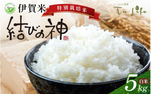特別栽培米・伊賀米結びの神 5kg【tuli0002A】