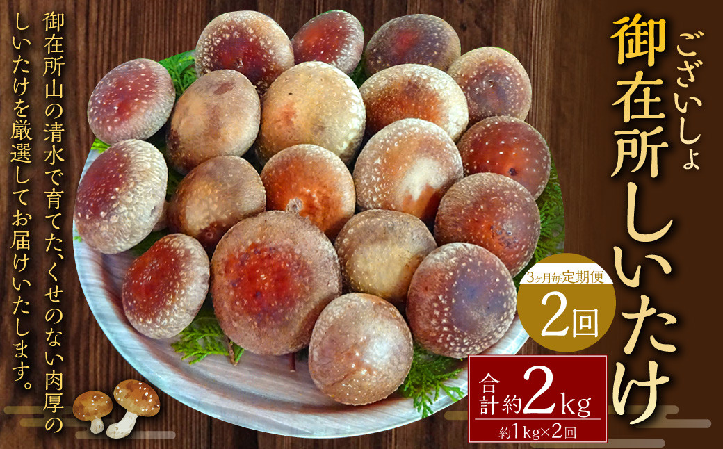 
            【3ヶ月毎 2回定期便】御在所肉厚生しいたけ 計約2kg 1回あたり約1kg（計2回） 生しいたけ しいたけ 椎茸 シイタケ 肉厚 山菜 お取り寄せ 冷蔵
          