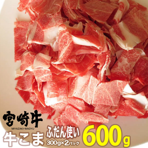 宮崎牛こま 600g (300g×2) 【肉 牛肉 黒毛和牛 肉質等級4等級以上 5等級 A4ランク A5ランク 精肉】 宮崎県川南町