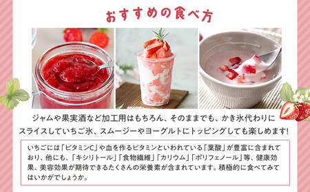 冷凍いちご(さぬきひめ)500g×20袋