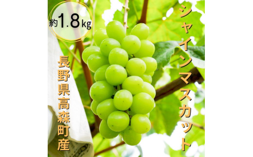 
                  ジューシーなシャインマスカット 約1.8kg 9月中旬より発送 長野県 信州 南信州 高森町 農家直送 果物 くだもの ぶどう 旬のぶどう
                