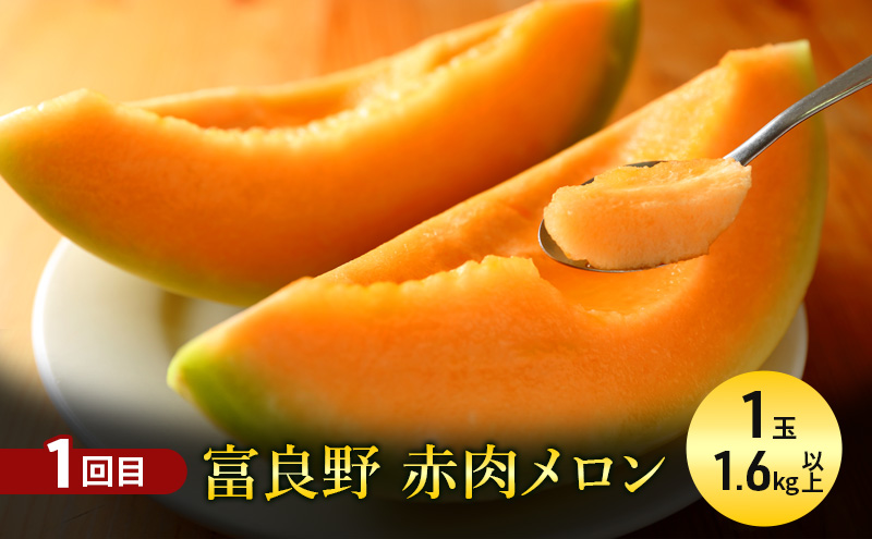 【7・8月 夏の果物 定期便 全2回】メロン×1玉1.6kg～ 大玉スイカ(Lサイズ) 夏大地×1玉 北海道 富良野産 すいか 西瓜 メロン 夏 フルーツ ふらの 甘い 糖度 大玉 ギフト (畠山農園