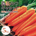 【ふるさと納税】 にんじん 人参 5kg 2025年 4月〜 発送 濃紅みつ キャロット 甘い 季節 春 野菜 新鮮 旬 煮物 炒め物 漬物 鍋 味噌汁 家庭用 弁当 惣菜 おかず 健康 栄養 海陽 徳島