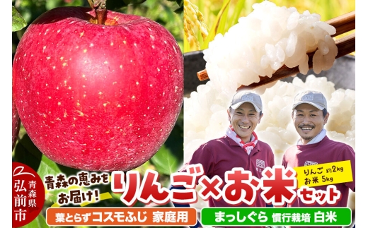 【26年11月中旬発送】りんご×お米セット まっしぐら 慣行栽培【白米】5kg ＆葉とらず コスモふじ【家庭用】約2kg 先行受付 青森県産 權之丞 [先行予約 お米 東北 精米 青森 青森県産 白米 米 ブランド米 青森 りんご リンゴ 林檎]