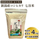 【ふるさと納税】【令和6年産新米】老舗米穀店が厳選 新潟産 従来品種コシヒカリ「七谷米」精白米 or 無洗米4kg（2kg×2）選べる配送回数（通常配送1回～定期便12回）窒素ガス充填パックで鮮度長持ち 金子米店