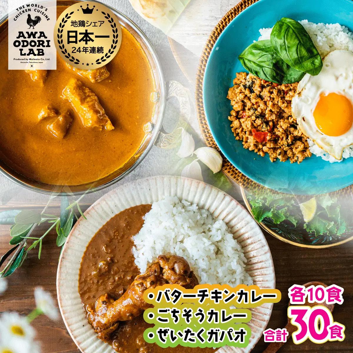 旅する阿波尾鶏シリーズ 3種 各10食入 計30食 バターチキンカレー ごちそうカレー ぜいたくガパオ カレー ガパオ タイ料理 常温 レトルト AWAODORI LAB