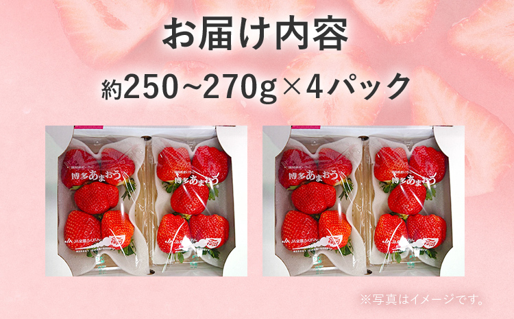 【2027年発送先行予約】厳選大粒あまおう(約250‐270g x 4パック) お取り寄せグルメ お取り寄せ 福岡 お土産 九州 福岡土産 取り寄せ グルメ 福岡県