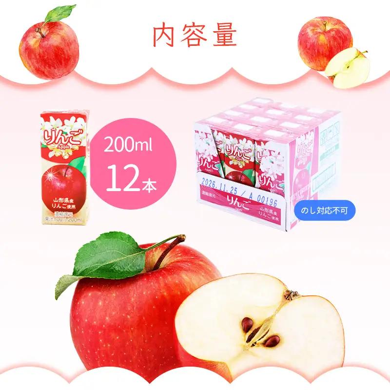 りんごジュース 200ml×12本セット 《簡易包装》 果汁100％ 紙パック 山形 りんご ジュース　008-G-MB010