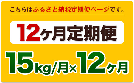 令和6年産新米 【12ヵ月定期便】 白米 ひのひかり 定期便 15kg 5kg×3袋《お申込み翌月から出荷開始》 熊本県産 精米 ひの 米 こめ ヒノヒカリ コメ お米