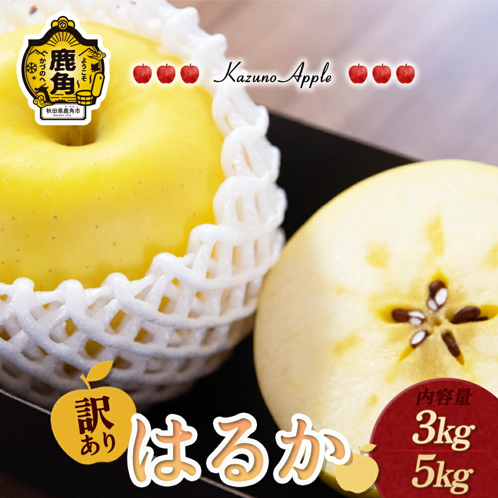 【ふるさと納税】《 先行予約 》 訳あり りんご 鹿角りんご 「 はるか 」 選べる 3kg ／ 5kg りんご 林檎 リンゴ みずみずしい 果汁 リンゴ 完熟 蜜入り 旬 県産りんご お中元 お歳暮 贈り物 お見舞い グルメ ギフト 故郷 秋田 あきた 鹿角市 鹿角 送料無料 【佐藤秀果園】