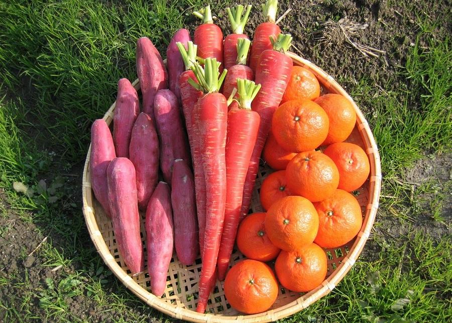 【定期便3回】野菜ソムリエの選ぶ旬のお野菜と果物セット