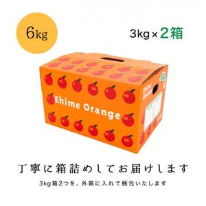 糖度11.0以上　国安さんちの厳選小玉みかん 6kg(3kg×2箱)【C20-29】【1323624】