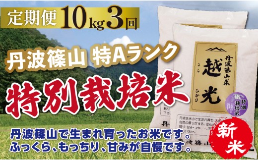 〈定期便 10kg ( 5kg × 2袋 )  3回 特A 減農薬〉令和8年産 丹波篠山産 特別栽培米 コシヒカリ 越光  | 丹波篠山 お米 おこめ ブランド米 ごはん ご飯 白米 米 コメ こめ 精米 精白米 おいしい米 美味しいお米 兵庫県 お取り寄せ こしひかり コシヒカリ