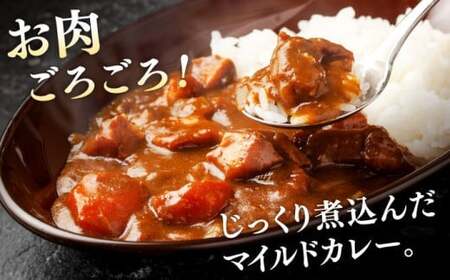 葉山牛 レトルト 葉山牛入り角車カレー 1人前 200g × 5パック ／ カレー [ASBD011]