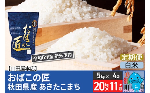 
										
										【白米】＜令和6年産 新米予約＞《定期便11ヶ月》おばこの匠 秋田県産あきたこまち 20kg×11回 計220kg 11か月 11ヵ月 11カ月 11ケ月 秋田こまち お米
									