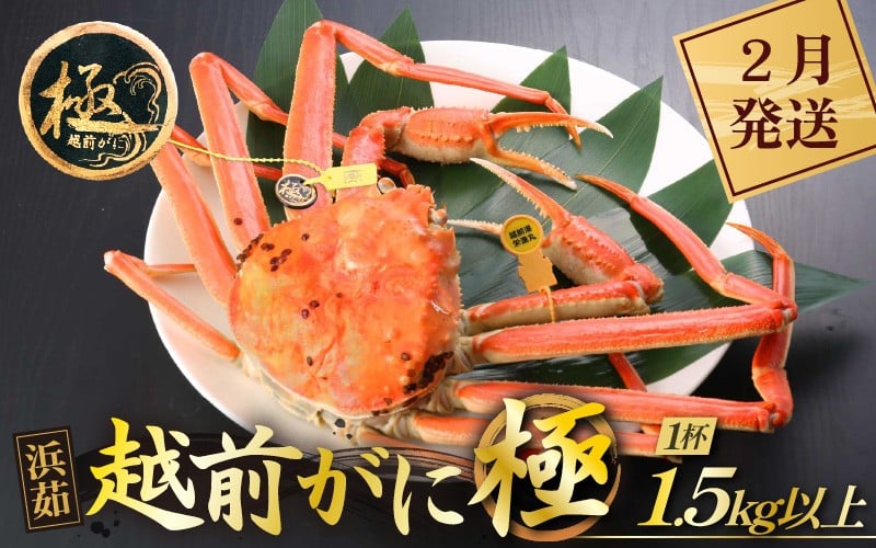 
            ≪浜茹で≫越前がに 極（生で1.5kg以上） × 1杯【雄 ズワイガニ 越前ガニ 姿 ボイル 冷蔵 かに カニ 蟹 福井県】【2月発送分】希望日指定可 備考欄にメールアドレスをご記入ください [e43-x013_02]
          