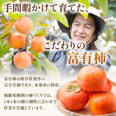 ふるさと納税 本巣市 加藤果樹園の富有柿 2Lサイズ (12個入) |  | 01