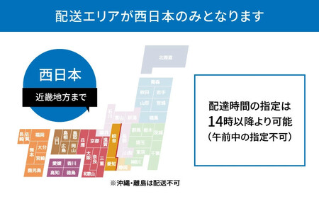 S999-T12_【定期便4回】どでかく堪能！山海の幸定期便