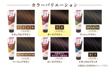ダリヤ サロンドプロ カラートリートメント 3個セット【ダークブラウン】 / 稲沢市 / 日興商事株式会社 [BMBK003-02]