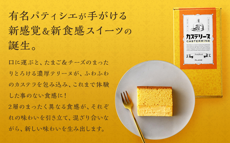 【全3回定期便】長崎カステリーヌ 1本 合計3本 ／ 菓子 お菓子 スイーツ デザート 長崎 テリーヌ カステラ 長崎