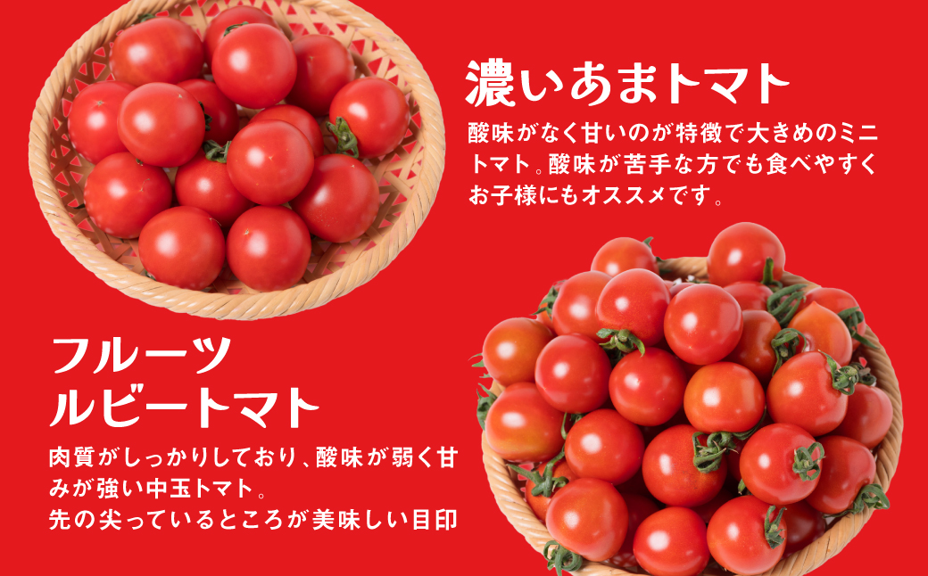 【先行予約】 【定期便3回】おまかせトマト4種 3kg×3回 計9kg 八代市産 宮島農園 ミニトマト トマト とまと 農産物 野菜 セット 詰め合わせ 定期便 熊本県 八代市 【2025年12月上旬