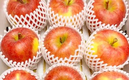 白鷹町産りんご （高徳） 3kg りんご 林檎 果物 くだもの フルーツ 旬 高徳 国産 山形県 白鷹町 【2025年11月上旬～11月下旬発送予定】