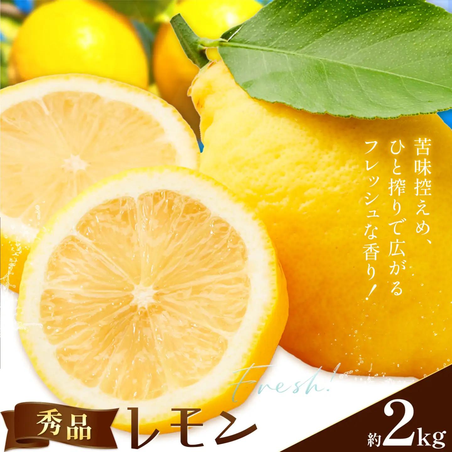 レモン 秀品 2kg 株式会社農業福祉研究機構