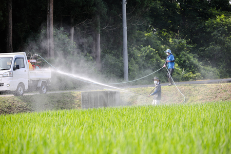 【 令和7年産 新米 予約 】魚沼産コシヒカリ 九左衛門の米 5kg（5kg×1袋）