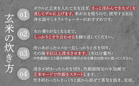 【先行予約】【令和7年産 新米】【定期便6回】 伊与衛門農園の自然栽培コシヒカリ玄米 5kg×6回  伊与衛門農園の特別栽培米＜温度と湿度を常時管理し新鮮米を出荷！＞/ 米 自然の力 高品質 鮮度抜群