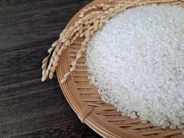 
            「黒田さん家のお米」長野県松本産こしひかり 精米 5kg×2袋 | 米 国産 こめ 松本市 お米 ふるさと納税 信州 精米 1等米 長野米 美味しい 松本産 ふっくら 白米
          