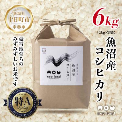 ふるさと納税 十日町市 【令和7年産 新米予約】 農家直送 魚沼産 コシヒカリ 6kg 新潟県 十日町市 のうランド