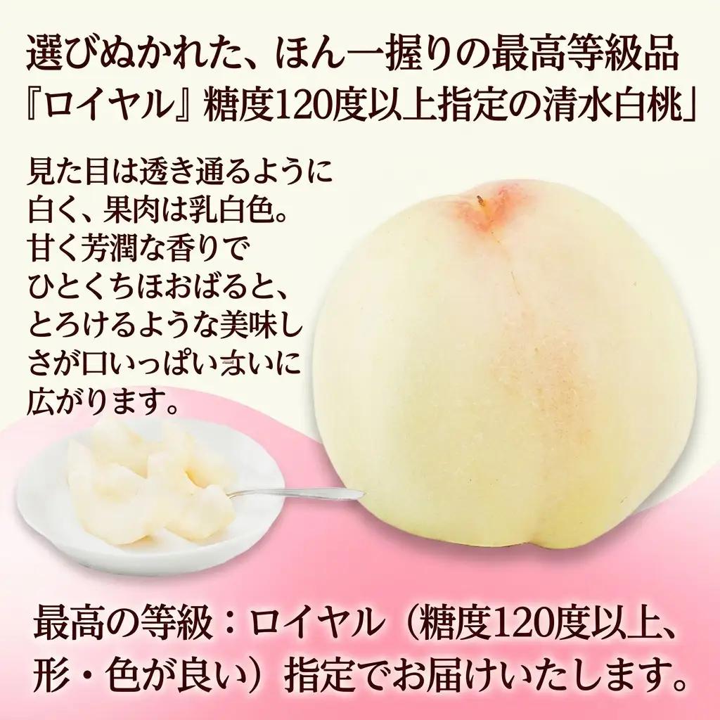 清水白桃 ロイヤル 化粧箱入り 岡山県産 清水白桃【6玉 1玉250g以上】【先行予約】