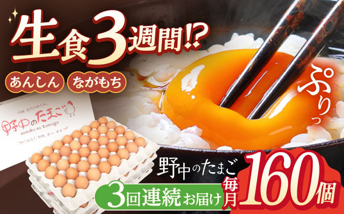 
            【3回定期便】産みたて新鮮卵 野中のたまご  160個×3回 計480個【野中鶏卵】 [OAC010] / 卵 長持ち 濃厚 玉子 濃厚 卵料理 タマゴ 鶏卵 オムレツ 卵かけご飯 卵焼き 
          