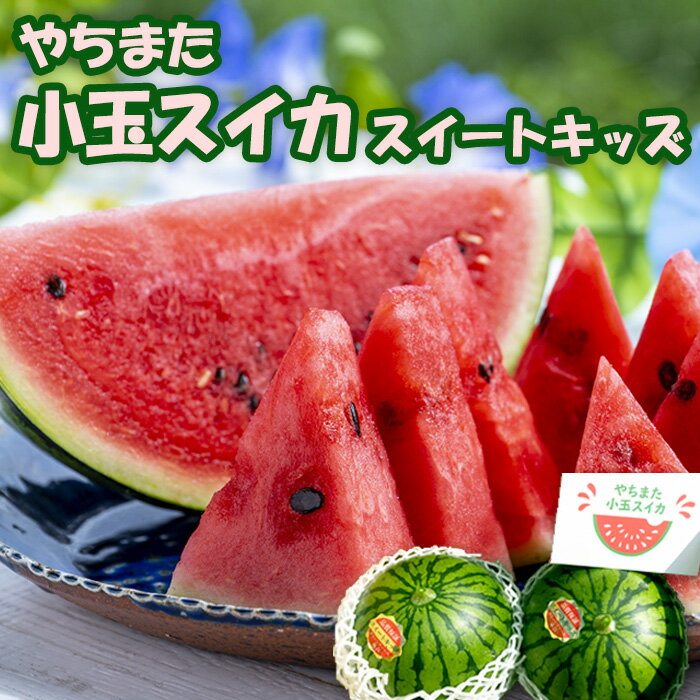 【ふるさと納税】スイカ 小玉すいか 2玉 西瓜 すいか スイートキッズ ちばエコ野菜 株式会社グリーンファーム落合 甘い みずみずしい おすすめ 直送 農家直送 八街 八街市 旬 千葉 果物 くだもの フルーツ