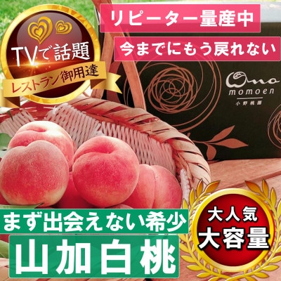 2027年発送先行受付【まず出逢えない幻の山加白桃】人気品種指定ギフト5年連続TV出演ブランド2kg【配送不可地域：離島・北海道・沖縄県・中国・四国・九州】