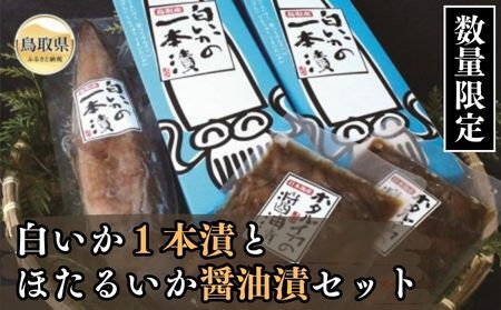 白いか１本漬とほたるいか醤油漬セット【数量限定】_T2600090