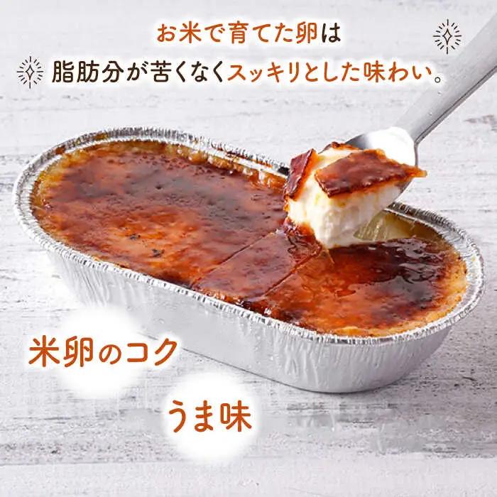【こだわり濃厚米卵と地元特産フルーツ使用！】こめたまバラエティセット３種９個入り デザート スイーツ お菓子 アイス ギフト  【氷窯アイス こめたま】[GF02]