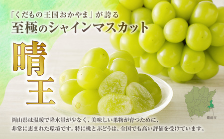 【2026年発送分 先行受付スタート！】岡山県産シャインマスカット「晴王」 秀品　約1kg（2房）（令和8年8月中旬～10月頃発送）【 シャインマスカット 晴王 フルーツ 果物 くだもの 葡萄 ぶどう