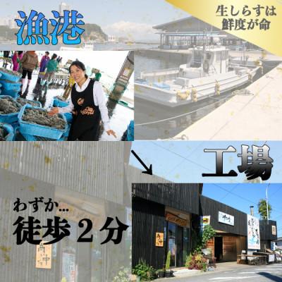 ふるさと納税 南知多町 【知多半島産】 生しらす 釣り餌用 200g×6袋 岬だより |  | 02