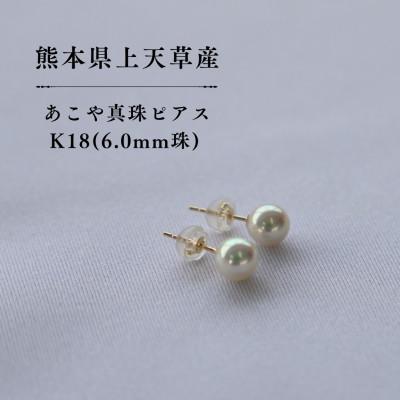 ふるさと納税 上天草市 上天草産 あこや真珠ピアス K18(6.0mm珠)