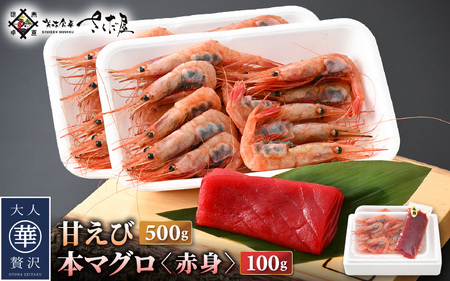 お刺身 セット 甘海老 250g × 2P ＆ 本まぐろ 赤身 100g × 1P 【福井県 冷凍 小分け 刺身 海老 マグロ】 [e04-a101]
