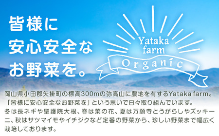 あや紫 約2kg Yataka farm《10月上旬-1月末頃出荷》岡山県 矢掛町 芋芋芋芋芋