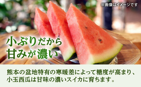 【先行予約】【数量限定】こだま西瓜 1箱約8kg (3L～M 3～6玉入り)【株式会社 GGYパッケージ】[AYAU003]