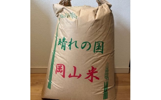 ＜2種食べ比べ＞岡山県産コシヒカリ×にじのきらめき　[5kg×2袋(10kg)]【1726893】