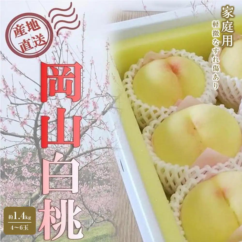 2027年 先行予約 ご家庭用 岡山   白 桃   早生　中生種 約1.4kg（4～6玉）|　桃