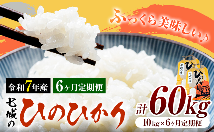 米 令和7年産 七城の ひのひかり 10kg 6ヶ月定期便 計60kg 有限会社草佳苑《90日以内に出荷予定(土日祝除く)》熊本県 菊池市 こめ 米 ひのひかり ブランド米 お米