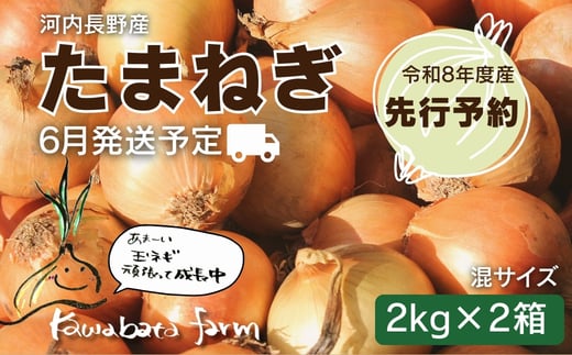 
                  【令和8年度産玉ねぎ先行予約】玉ねぎ 2kg×2箱 ※6月より発送予定 混サイズ 玉ねぎ たまねぎ タマネギ 玉葱 カレー シチュー 肉じゃが スープ サラダ 人気 大阪 河内長野 kawabata farm 料理 送料無料 先行予約 国産 エコ農産物 甘い玉ねぎ 野菜 食育 安心 安全
                
