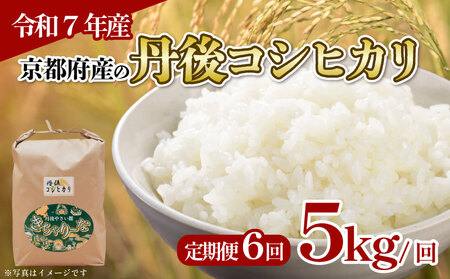 【令和7年産】定期便 京都府産米 丹後コシヒカリ 5kg 6回定期便 特Ａブランド米